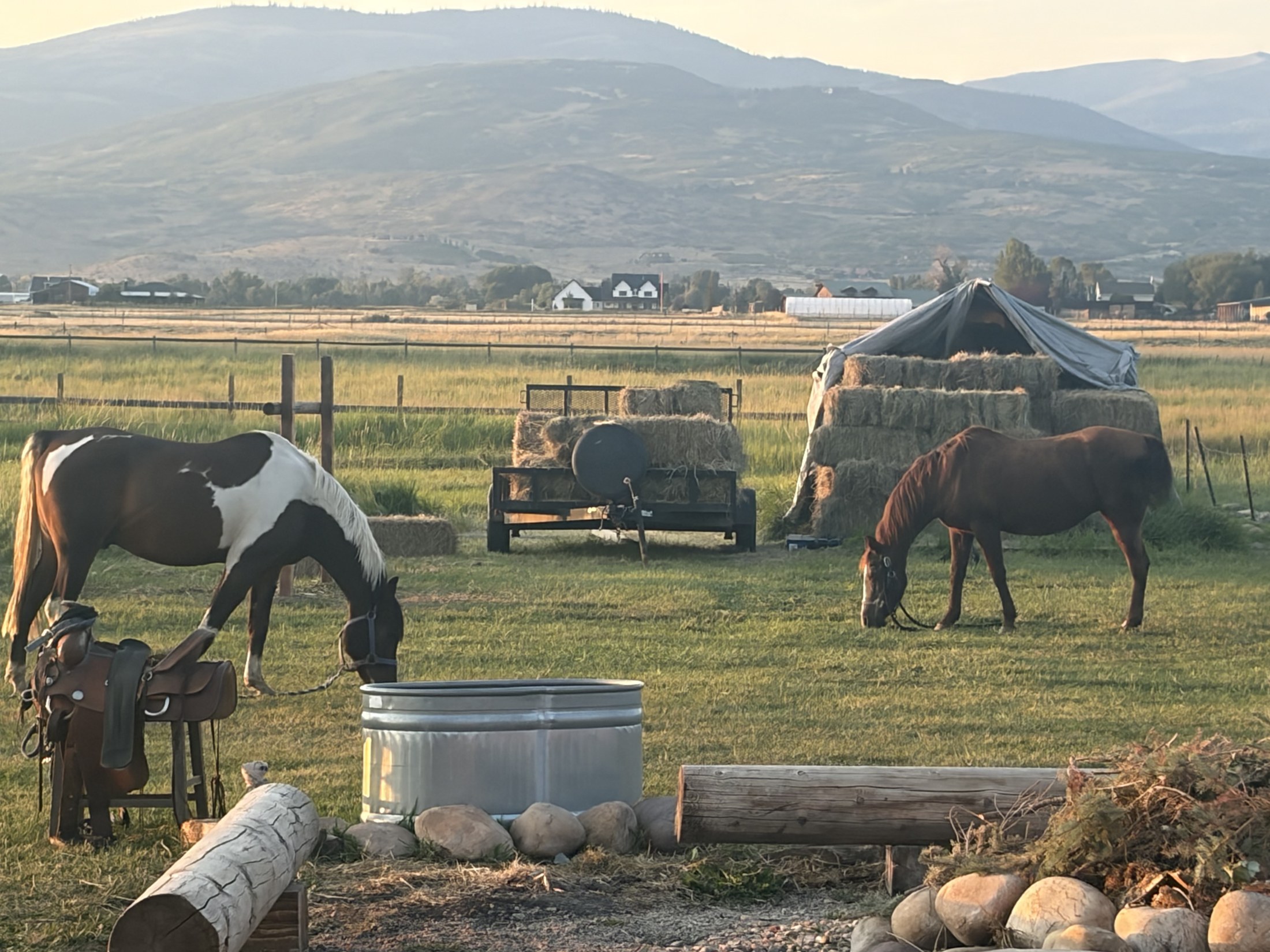Two SETI horses grazing in a green pasture at golden hour with hay bales, a water tank, and mountains behind