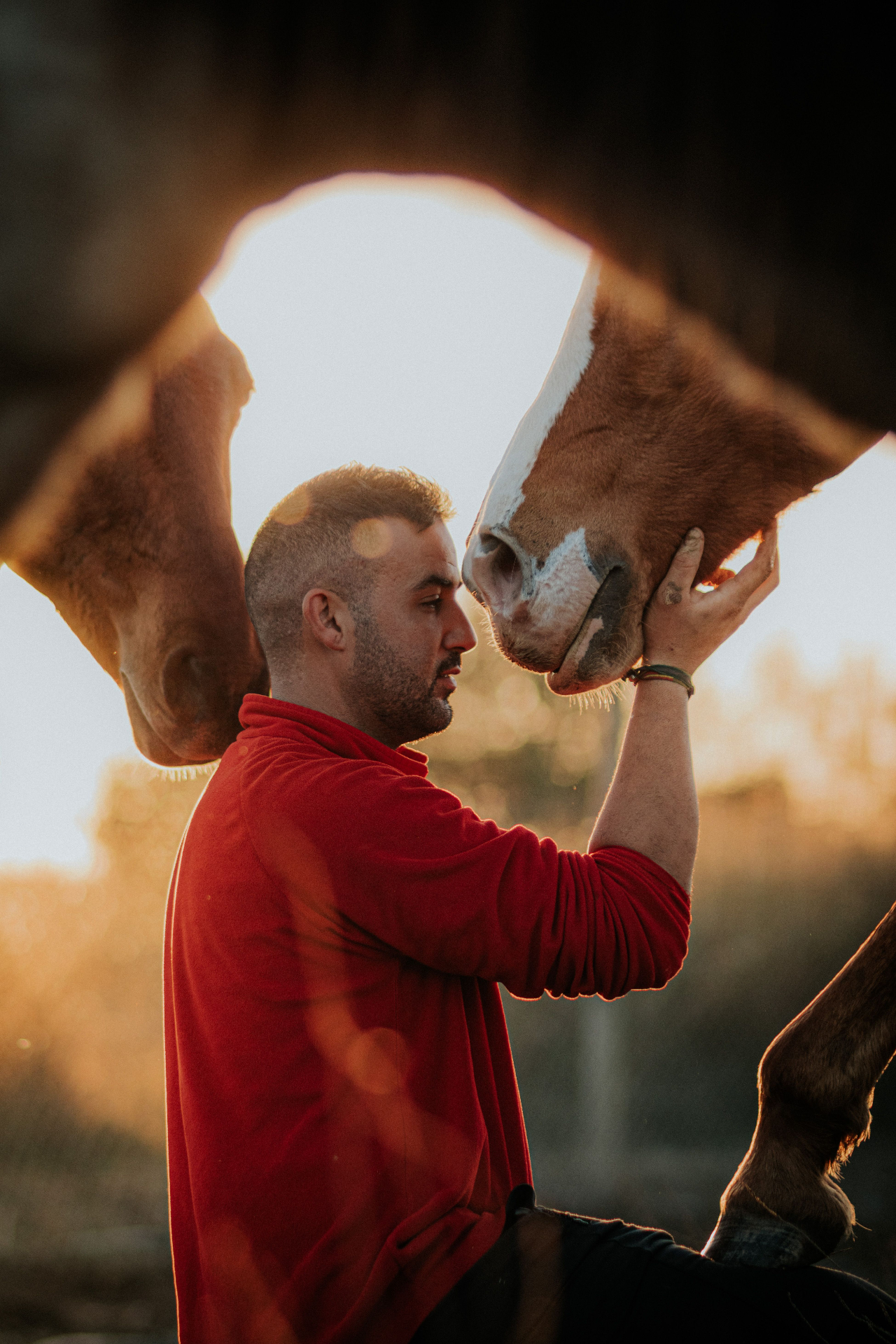 A man standing between two horses at golden hour, cradling one horse's muzzle in his hands