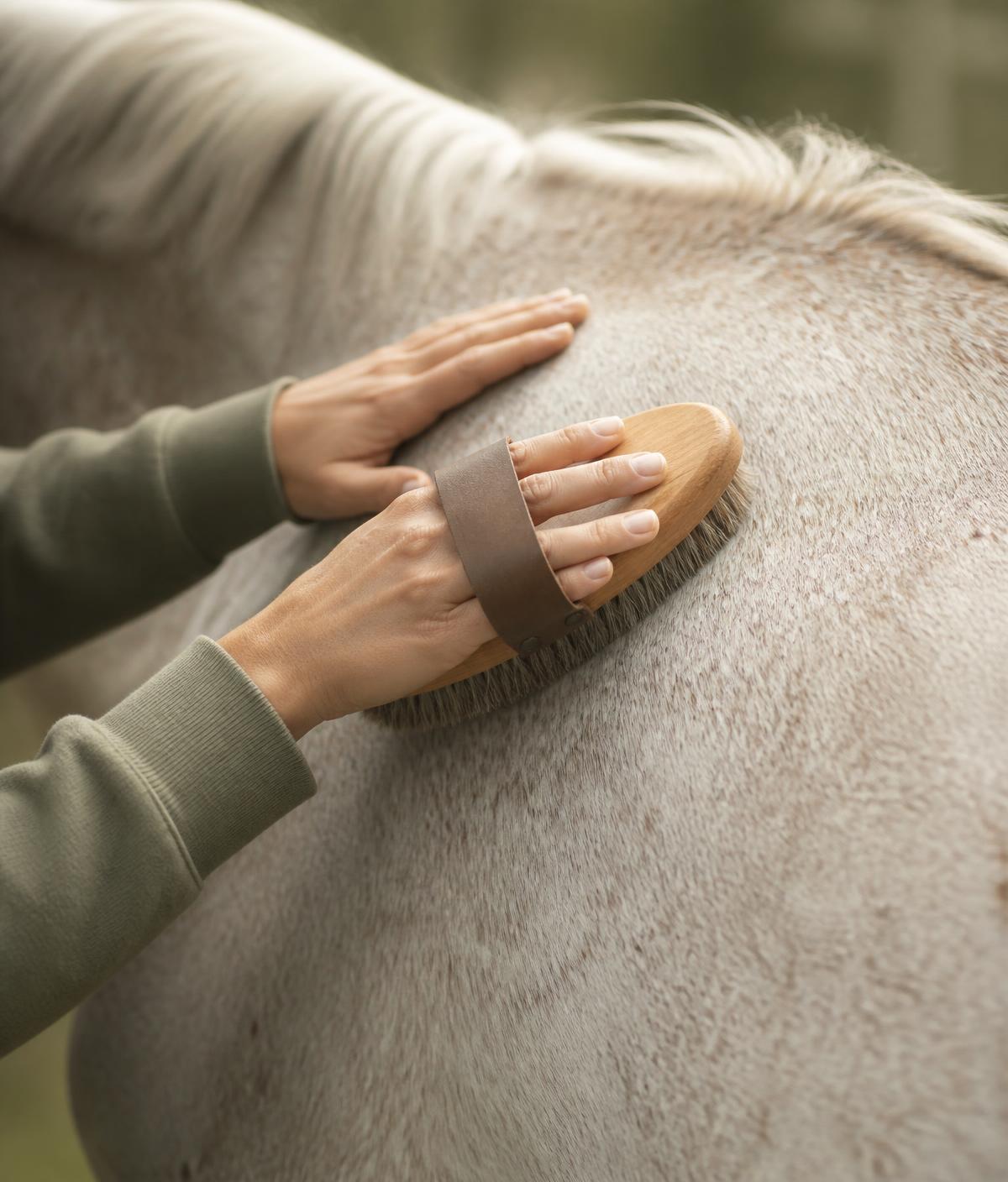 Hands gently brushing a horse's shoulder with a soft grooming brush